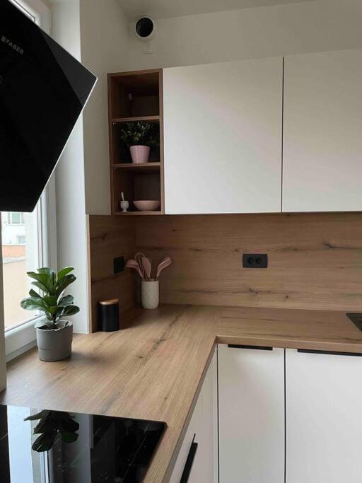 Apartamento Mely Rose Liubliana Exterior foto